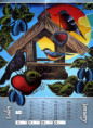 /album/detail147/limberk26-1-jpg/