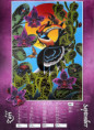 /album/detail147/limberk26-9-jpg/