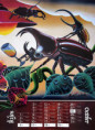 /album/detail147/limberk26-10-jpg/