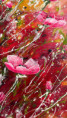 /album/detail26/fryblova-bilemakyx-jpg/