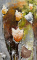 /album/detail76/fryblova-tulipany4xx-jpg/