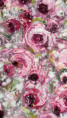 /album/detail139/fryblova-ruzexx-jpg/