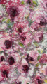 /album/detail139/fryblova-ruzex-jpg/