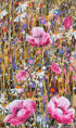 /album/detail141/fryblova-naokrajipolexx-jpg/