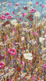 /album/detail141/fryblova-naokrajipolexxx-jpg/